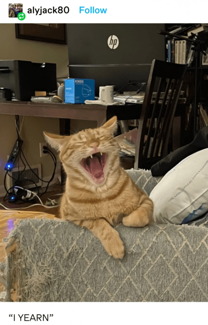 3. I yearn! Can you hear me?