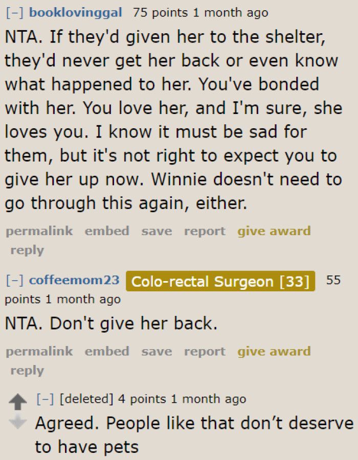 When they surrendered the dog to the OP, it was already equivalent to giving it up for adoption. They can't get the dog back at this point.