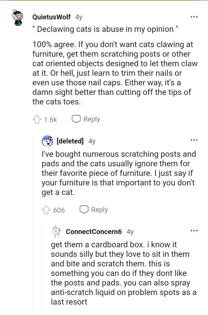 Declawing a Cat Is a Form of Abuse