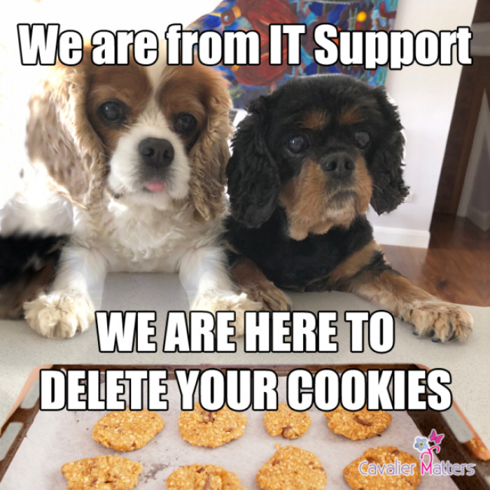 10. Support systems are very helpful