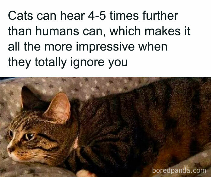 12. You got me there