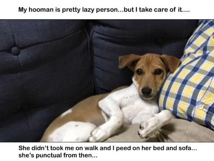 12. "They teach you to do things on time or else…"