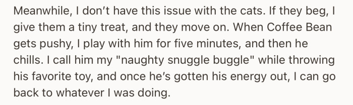 Meanwhile, she doesn’t have an issue with his own cat