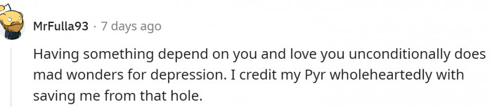 And there are numerous accounts of dogs pulling people out of depression and suicidal thoughts