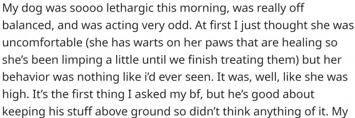 OP noticed her dog being lethargic. It turned out that it got into the boyfriend's stash he left on the floor.