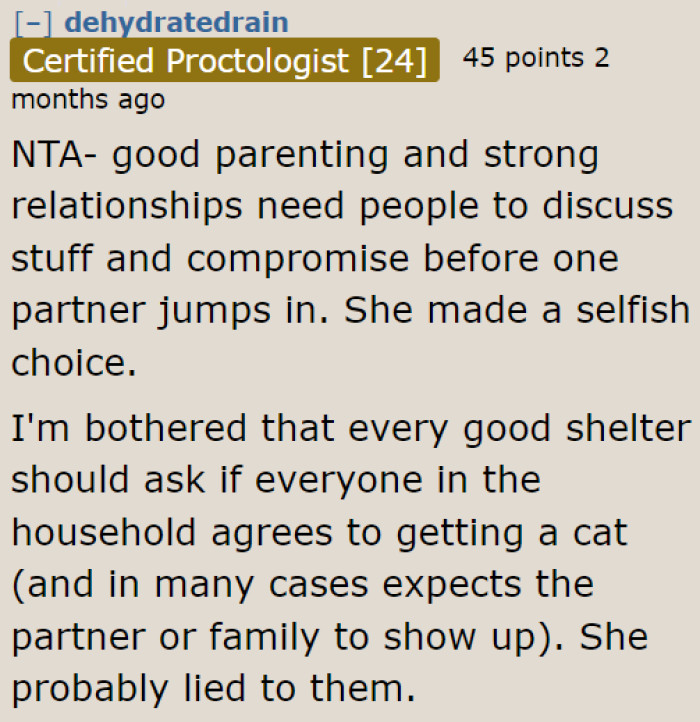The OP compromised with his girlfriend, saying that they can get a cat in the future. But the girlfriend won't listen.