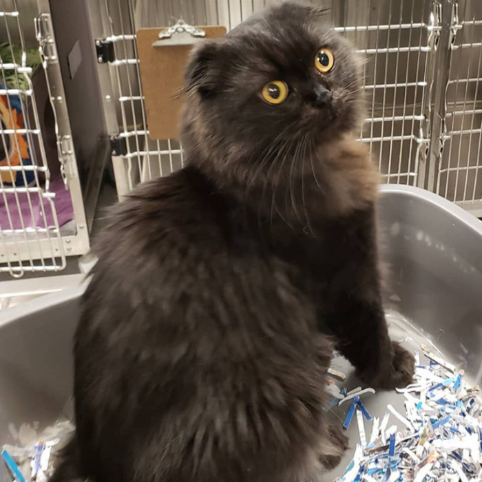 “The day I met my forever family!”