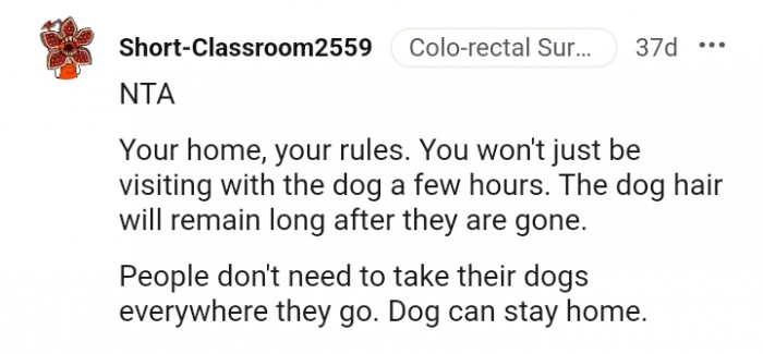 People don't need to take their dogs everywhere