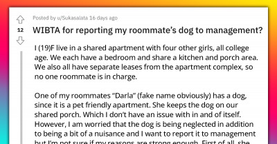 Girl Asks If She'd Be Wrong to Report Roommate's Dog to Management Because of How Neglected It Is