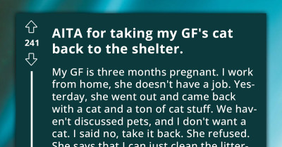 Man Has To Deal With His Pregnant Girlfriend Who Won't Talk To Him After He Returned Her Newly Adopted Cat To The Shelter