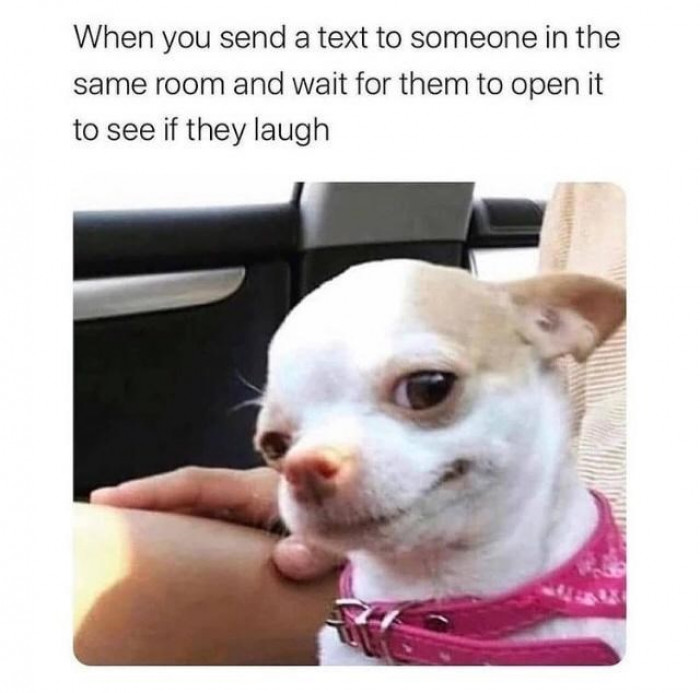 2. You had better laugh at that text