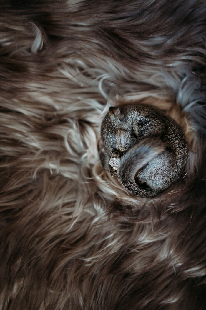 18. I'm just going to snuggle right here