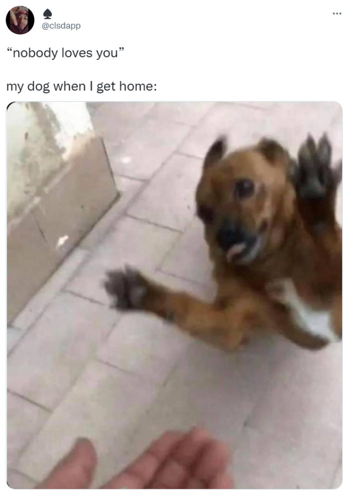 11. Their love is all I need