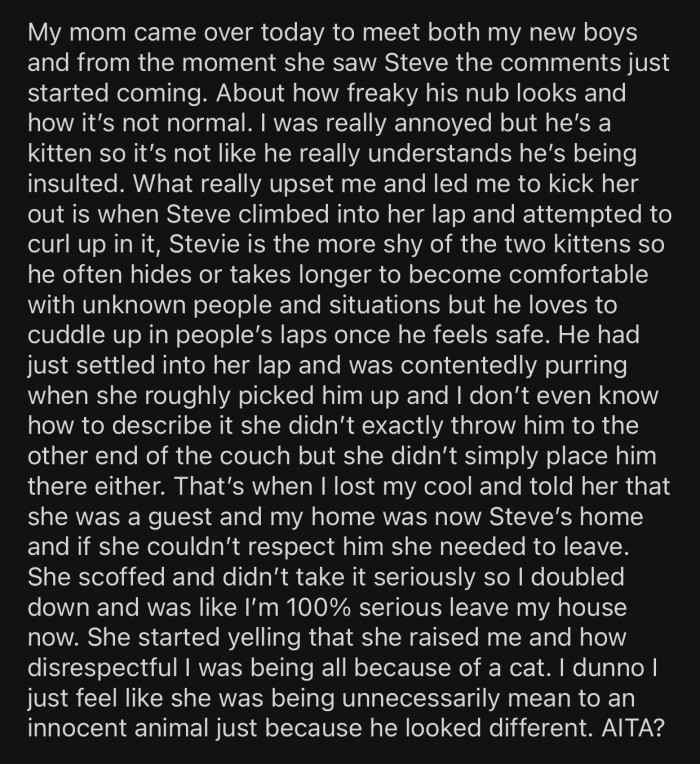 Op's mom kept constantly making comments about the kittens' appearance.