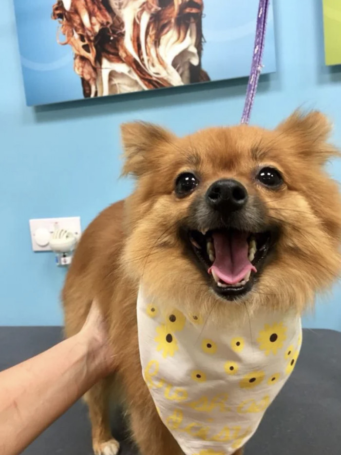 9. A happy Cleopatra