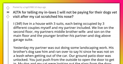 Dog Enters Neighbor’s Home And Gets Scratched By A Cat, Now Its Owners Want Reimbursement For Vet Bills