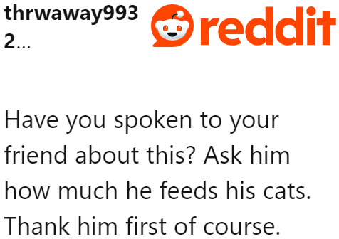 The OP should take their cue from their friend when it comes to feeding cats.