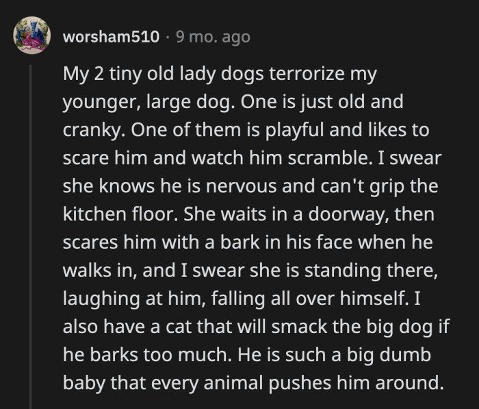 27. Aww, poor big, dumb baby