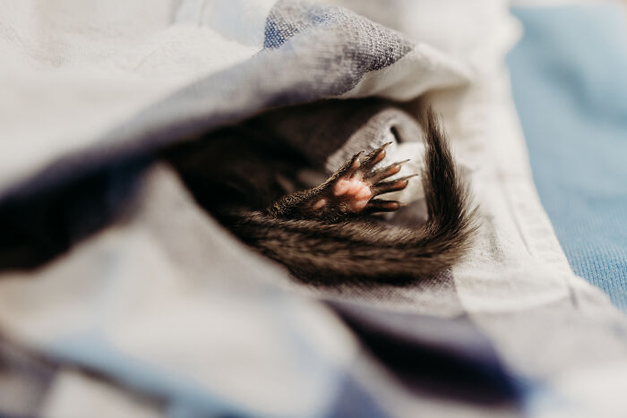 19. Okay, leave my zone