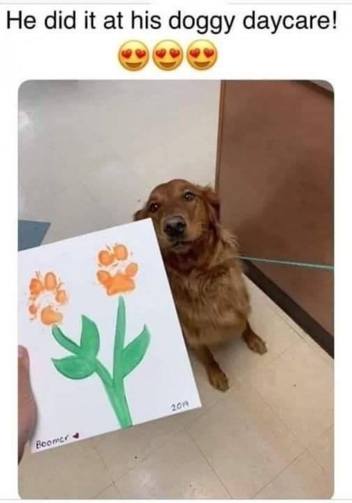 7. This doggo is pretty talented