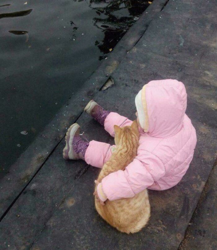 Best Photo of the Year