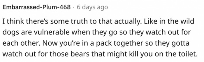 10. Dogs are descendants of wolves, and it is not uncommon to see them display some pack-like behavior.