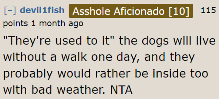 It's totally okay for dogs to skip a day without walking, especially if it's for their safety.