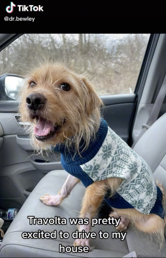 She was only supposed to foster Travolta until he was healthy enough to be adopted