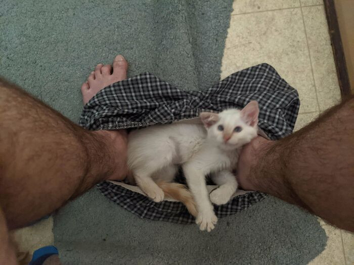 21. "The best part about adopting an animal is never having personal space again."