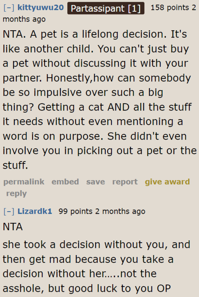 Some believe that OP was right to return the cat because owning one requires commitment.