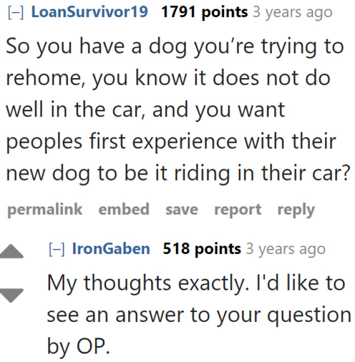 A few folks seem to be raising eyebrows at the idea the OP had about having someone drive their dog, especially knowing that their furry friend isn't exactly a fan of car rides.
