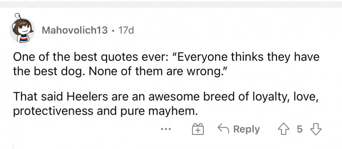 This is a great quote to add to this post because everyone will most definitely think their dog is the best.