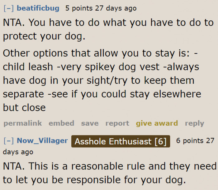 She should prioritize protecting her dog.