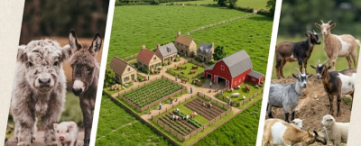 Miniature Farm Animals: Small Livestock Breeds for Hobby Farms