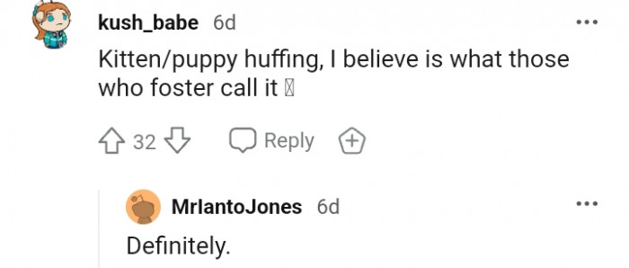 9. What those who foster dogs call it