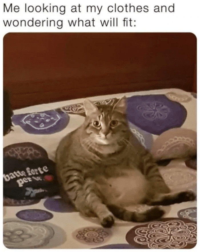 15. 'Cause you're just too fat