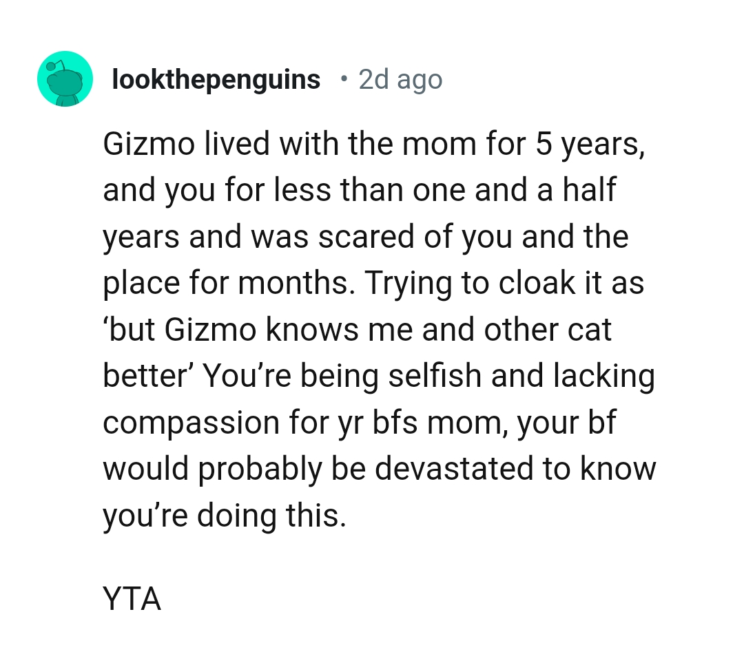 OP's boyfriend would have been disappointed