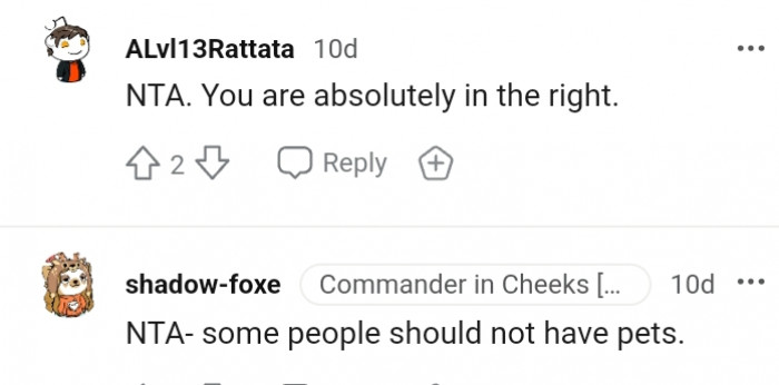 11. Some people really shouldn't have dogs