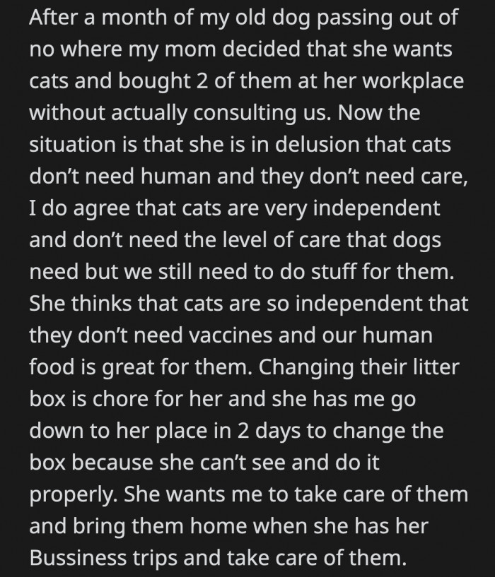 They had to go to their mom's place daily to administer the cat's medicine and then go home to take care of their two elderly dogs