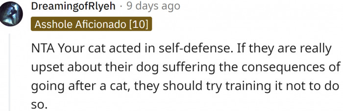 Dog owners should train their dogs