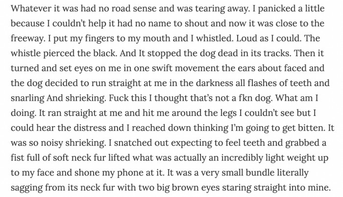 In a rare moment, Tom penned a loving Tumblr tribute about the fateful night he first met Woody