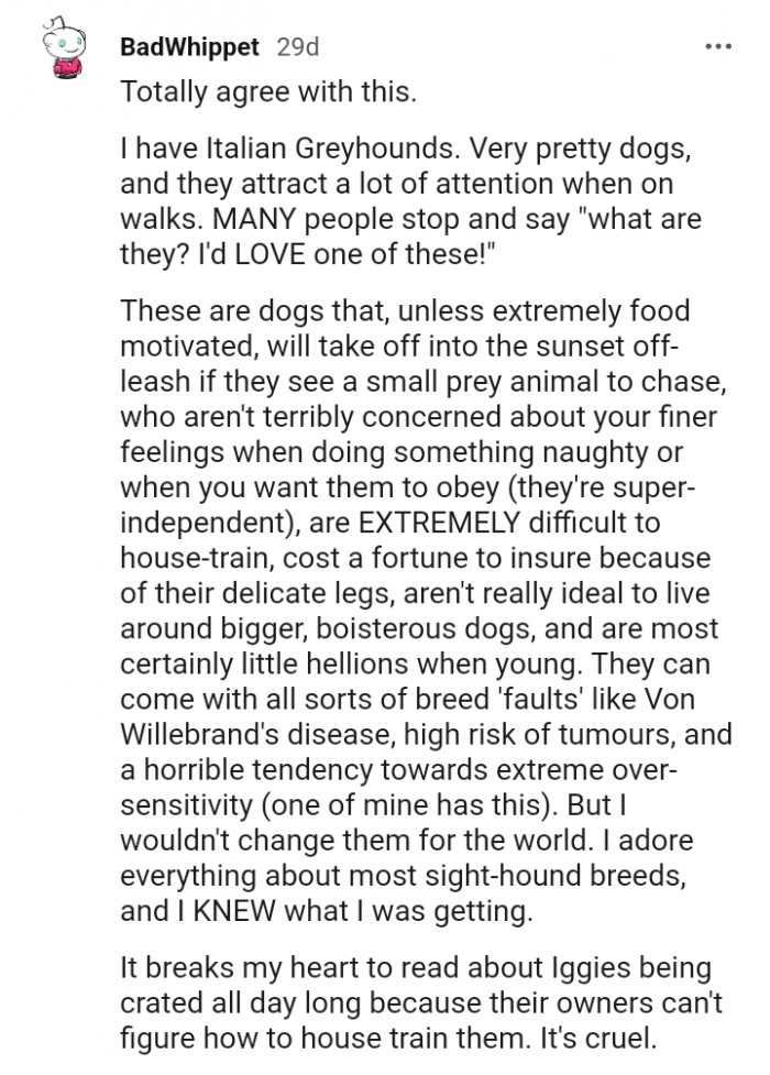 They can come with all sorts of breed