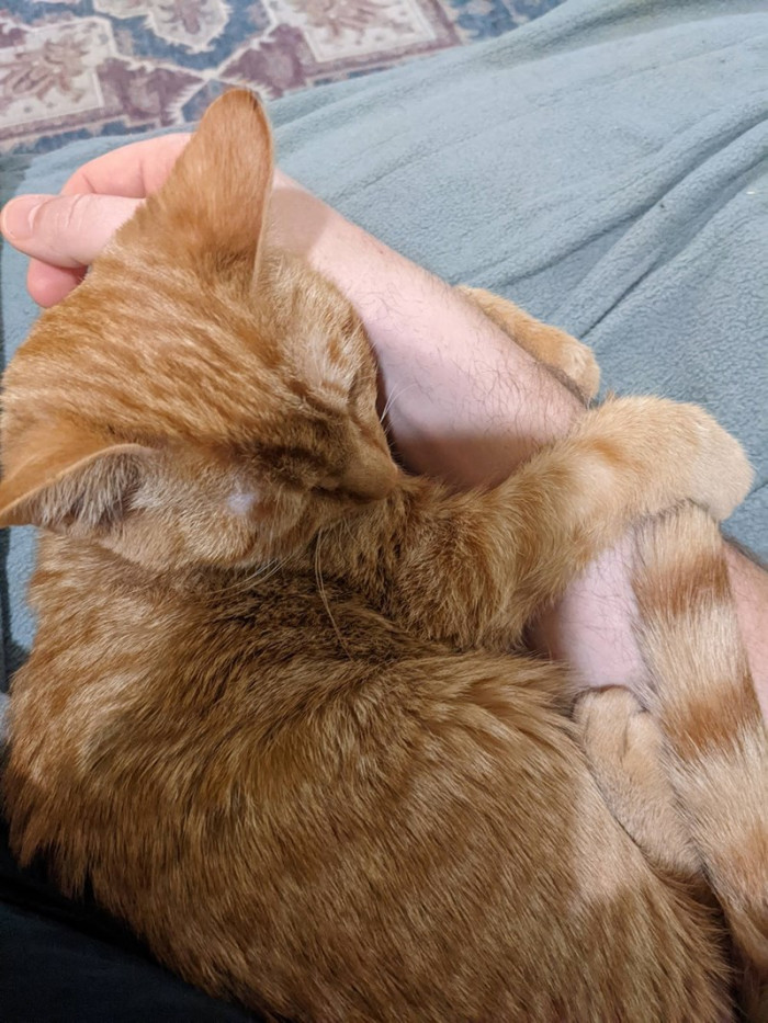 That appointment is MUCH better