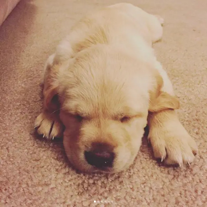 5. My tiny sleeper is so cute, and I'm not going to disturb him