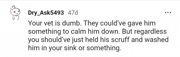 16. You should have just held his scruff