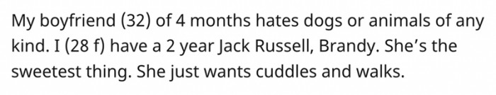 She just wants cuddles and walks