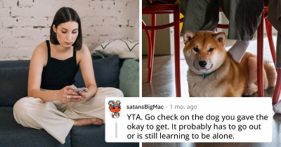 Entitled Woman Expects Roommate To Keep Her Dog Calm While She's At Work