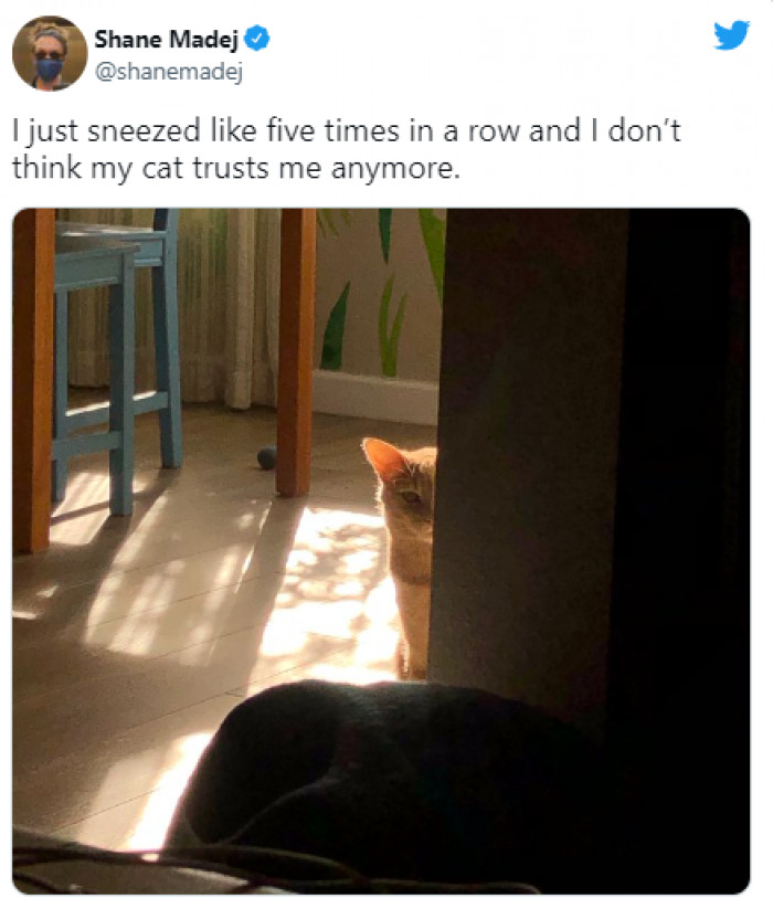 2. This one didn't know whether their own human was a friend... or a foe: