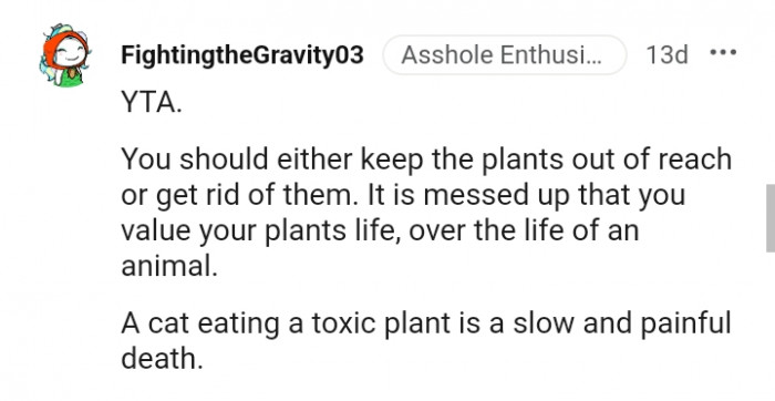 Keeping the plants out of reach or getting rid of them