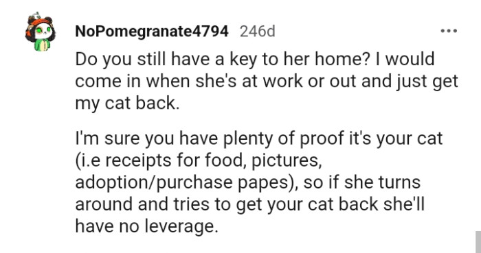 This Redditor Would Come in When She Is at Work and Get the Cat